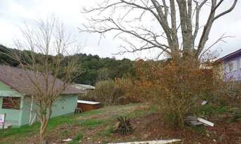 Imagem 4: FARROUPILHA - Terreno Padrão - Centenario