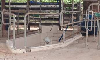 Imagem 2: Oportunidade! Excelente de fazenda 12 Alqueires