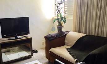 Imagem 3: NATAL - Padrão - Capim Macio