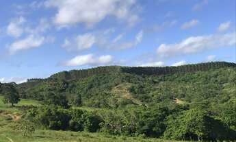 Imagem 3: Fazenda para criação de Búfalos e Eucaliptos