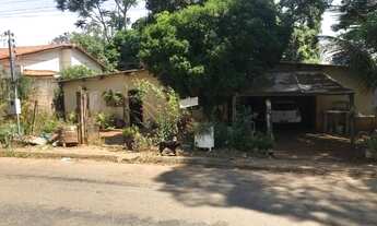 Imagem: APARECIDA DE GOIANIA - Chácara - JARDIM