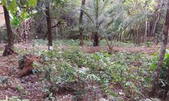 Imagem 2: Lote em Macacos Terreno / lote com venda por R$190.000