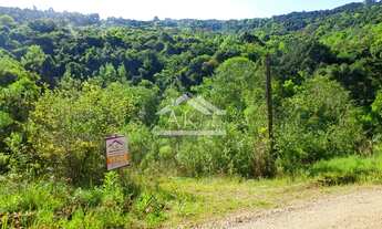 Imagem: Área de terras junto ao rio em Nova Petrópolis
