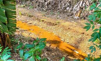 Imagem 6: Chácara em Campo Limpo Paulista - Aceita financiamento