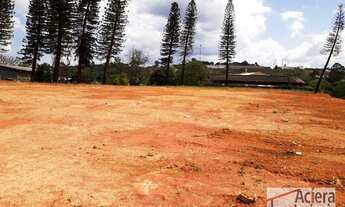 Imagem 6: Cotia - Área industrial terraplanada