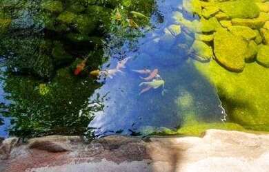 Imagem 3: Aceita Permuta -Casa com 3 dormitórios à venda, 712 m² - Chácara São João - Carapicuíba/S