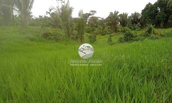 Imagem 3: Machadinho D'Oeste - Sítio - 18 Alqueires