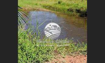 Imagem: Machadinho D x27 Oeste - Sítio - 38 Alqueires