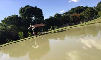 Imagem 6: Excelente Sítio para venda possui 20.000 metros quadrados