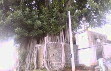 Imagem 3: Porto Alegre - Terreno Padrão - Medianeira