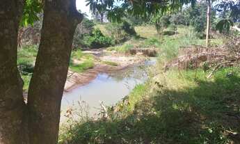 Imagem 3: FAZENDA 5 ALQUEIRES TERRA DE CULTURA COCALZINHO GOIAS