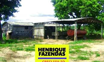 Imagem 6: Fazenda 2.899,16 hectares em Novo Acordo