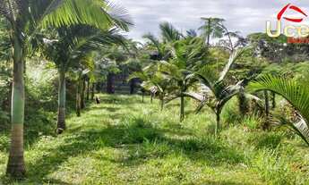 Imagem 5: V836- Excelente Sítio para venda em Sete Barras - Cod Imovel V836