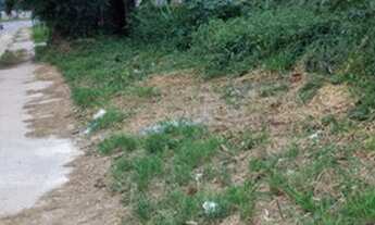 Imagem 4: Área Plana para Galpões ou Posto de Gasolina- 3.461M²