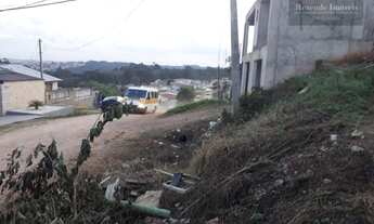 Imagem 7: C-TE0236 Excelente LOCALIZAÇÃO! Terreno 360m2 - São Dimas, Colombo