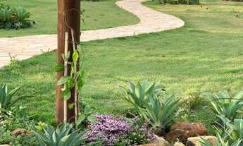 Imagem 2: Fazenda Passa Tempo - 55 Hectares