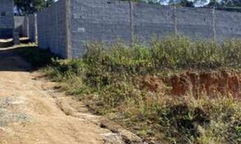 Imagem 4: Terrenos e chácaras