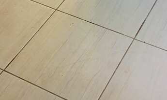 Imagem 4: Vendo casa de 50m com lote de 360m