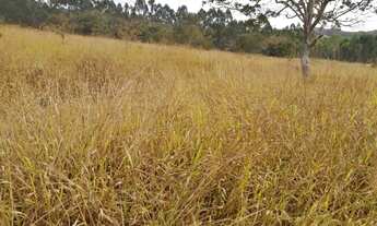 Imagem 5: Terreno 10 Hectares em Passa Tempo Fartura de Agua