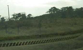 Imagem 5: Fazenda - venda com 375 HC a 35 km de Cuiabá