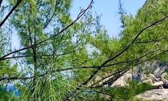 Imagem: Temporada e fixo a 5 min. Da praia de Itacoatiara