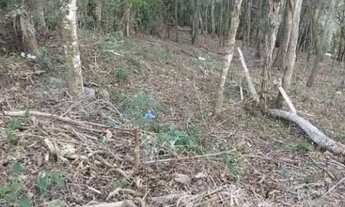 Imagem 6: Petrópolis - Terreno Padrão - Itaipava