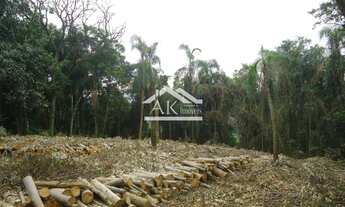 Imagem 6: Área de terras com vista em Morro Reuter na Serra Gaúcha