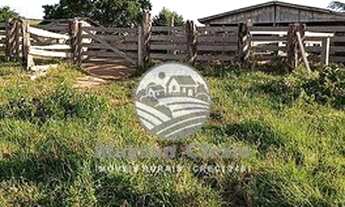 Imagem 7: Ariquemes - Sítio - 24 alqueires Ariquemes