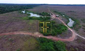 Imagem: Fazenda 700 Alqueires, Ulianópolis, PA