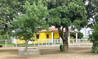 Imagem: FAZENDINHA TOP