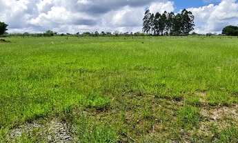 Imagem 7: Beira do asfalto rodeador chácara 100%plana 20.000m2 com casa falta acabamento