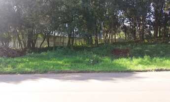 Imagem 6: Lote/Terreno para venda possui 360 metros quadrados em Marechal Floriano - Caxias do Sul