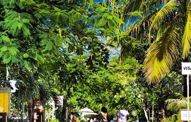 Imagem 6: Lote/Terreno para venda com 630 metros quadrados em Praia do Forte - Mata de São João - BA