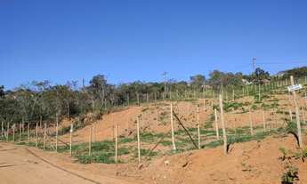 Imagem 6: Lotes em mateus leme com agua e luz