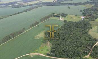 Imagem 7: Fazenda 90 Alqueires, Silvânia, GO