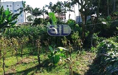 Imagem 6: Terreno quitado Bairro Paranaguamirim Joinville