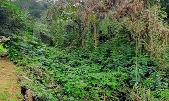 Imagem 6: AREA RESIDENCIAL em EMBU DAS ARTES - SP, JARDIM MIMAS