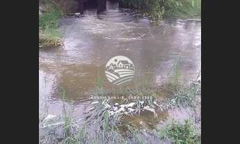 Imagem: Ariquemes - Sítio - 10 Alqueires a