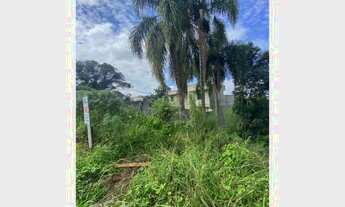 Imagem 2: TERRENO QUATRO BARRAS - PR