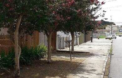 Imagem 4: Casa com 3 dormitórios à venda por R$ 580.000,00 - Fazendinha - Curitiba/PR