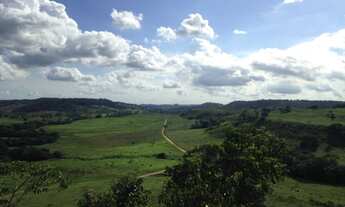 Imagem 4: Fazenda para criação de Búfalos e Eucaliptos