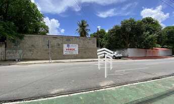 Imagem 2: Ótimo Terreno Comercial/Residencial com 11.880 m2, sendo 44 m de frente e 270 m de fundos