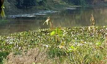 Imagem 4: Fazenda 228 Alqueires, Figueirópolis, TO