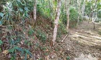 Imagem 5: Terreno Residencial- Petrópolis, Itaipava