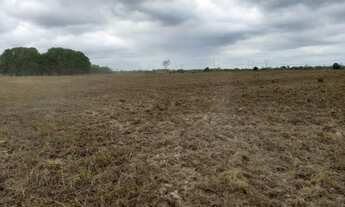 Imagem 7: Fazenda no Estado do Pará