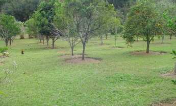 Imagem 6: Loteamento - Condomínio Tuiuti/SP