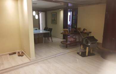 Imagem 5: EXCELENTE PLANTA!