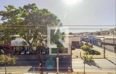 Imagem 5: Apartamento para Aluguel - Carlos Prates, 4 Quartos, 177 m2