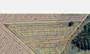 Imagem 5: Vendo chacara 2000m