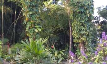 Imagem 6: Chácara para venda com 5280 metros quadrados com 3 quartos em Ipelândia - Suzano - SP